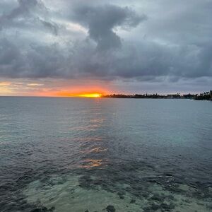 Meet your Posher, Krysten